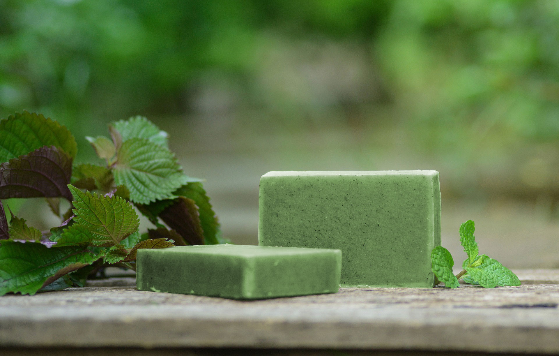 クマザサ石けん